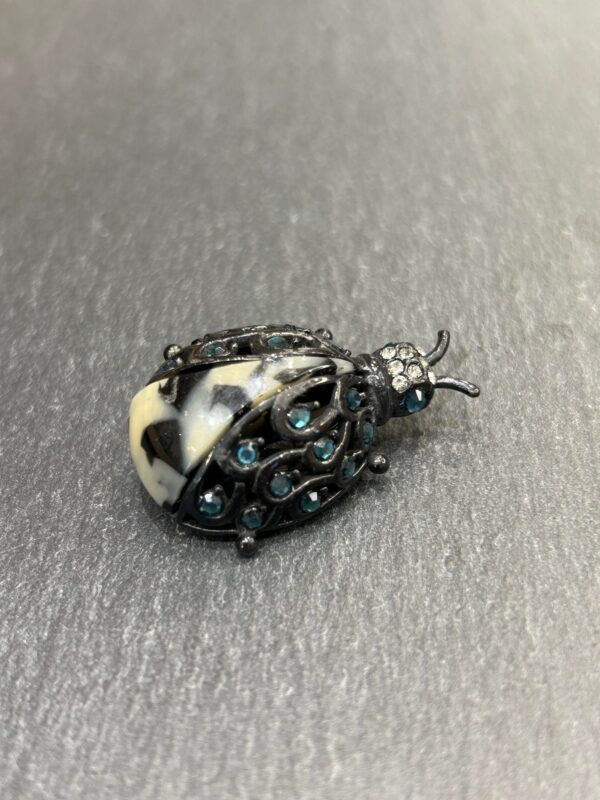 Broche COCCI Noire