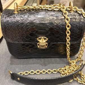 SAC MINI AVA PYTHON - ASTREE