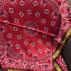 FOULARD YELLOWSTONE - ASTREE
